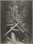 [Chute, chuting logs to mill at Slate Creek]