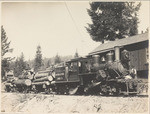 Logging train enroute to mill