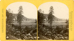 Cooley's Ranch, 10 miles east of Camp Apache, Arizona. A characteristic mountain "Park" and Apache Indian Farm. Here the Apaches grow corn, wheat and a few vegetables, no. 32