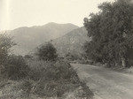 Foothill Blvd. near Mt. Wilson Trail (2 views)