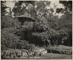 A view of the Japanise [sic] tea house, Cheney S. 1531