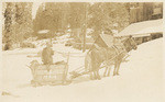 [Mail sled in snow at Shaver Lake]