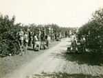 Picking lemons, Arlington Heights Fruit Company, Riverside, California, 18483