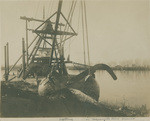 Neptune on Sacramento River islands