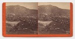 Panorama of Virginia City. No. 6. # 4117.