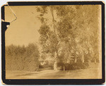 [Original Sheldon Littlefield Home, Anaheim, 2 views]