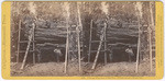 Cutting off section of Big Tree, (78 feet circum.) Fresno Co.