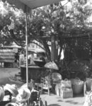 [Market on Olvera Street]