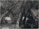 "Camp Crowley", section of surveyor's camp sta.