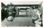 Covered bridge at Knights Ferry, A489