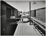 [Shipping lettuce at Aquila, Arizona]