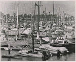 [Boats in Santa Barbara harbor]