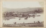 View in Echo Park, Los Angeles, Cal. # 1351