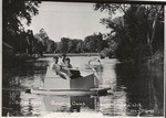 Swan Boat, Roaring Camp, Sacramento, Calif. # 146