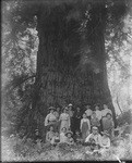 Group at Glen Ellen