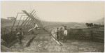 Steel reinforcement for walls of 1,000,000 Bbl. concrete reservoir at Tank Farm near San Luis Obispo, Cal. No. 25