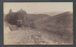 View in Elysian Park, Los Angeles, Cal. # 1013