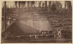 [Bell's sawmill]