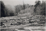 [Logs above piers at First R.R. Bridge, 1914]