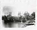 [Stern wheelers on the Sacramento River]