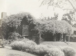 Rose covered bungalow (snowed under)