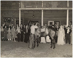 [Horse and cowboy in Roaring Camp]