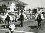 Group of riders