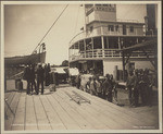 Loading cherries, Sacramento River