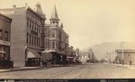 Fair Oaks Avenue, looking north, Pasadena, Cal. # B3939.