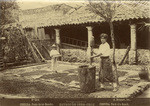 Cordoba, patío de un rancho. Estado de Vera-Cruz = Cordoba, yard of a ranch, no. 264