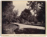 Res. Grounds, Edgar Mills, Menlo