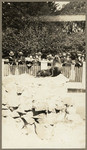 [Sea lion on rock in fenced area with onlookers]