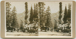 [Car on mountain road in Tuolumne County]