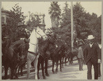 At Los Angeles when Battery "D" returned, reviewing officer