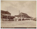 Tents on Santa Cruz Beach, June, 1895.