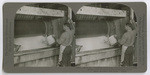 Wool 25. Washing with soap and squeezing between heavy rolls to remove any remaining grease from hammer felt wool. Calif., 139