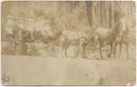 [Stagecoach, Boulder Creek]