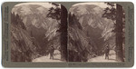 Amidst the majestic heights and chasms of wonderful Yosemite Valley - from Trail (N.N.W.), Cal., (18)6034