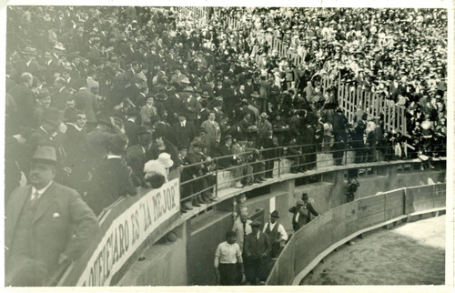 Photograph, Crowd in horse arena