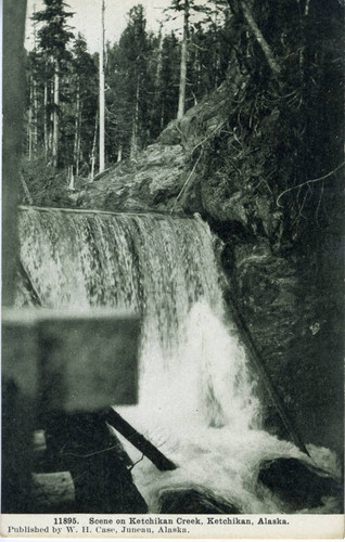 Scene on Ketchikan Creek, Ketchikan, Alaska