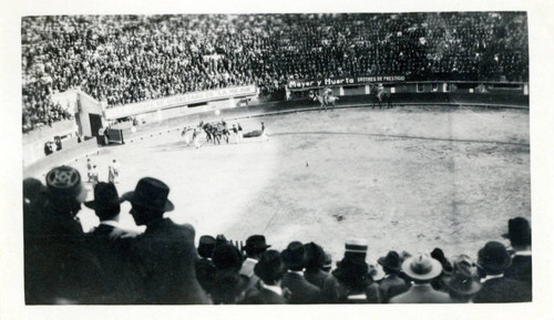 Photograph, Bullfight in arena