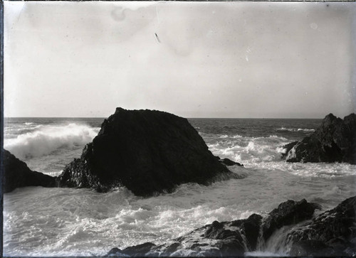 Pacific Grove coastline