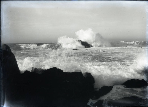 Pacific Grove coastline