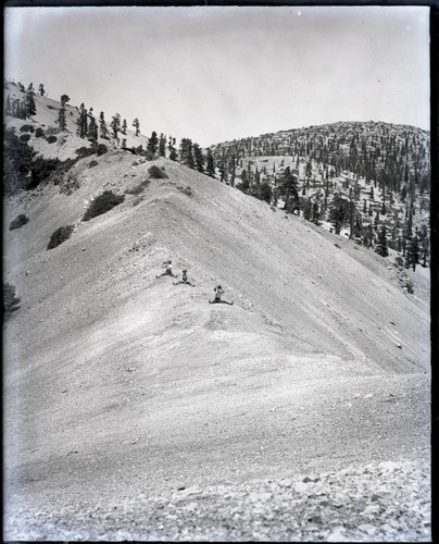 Mount Baldy, Hogsback Trail