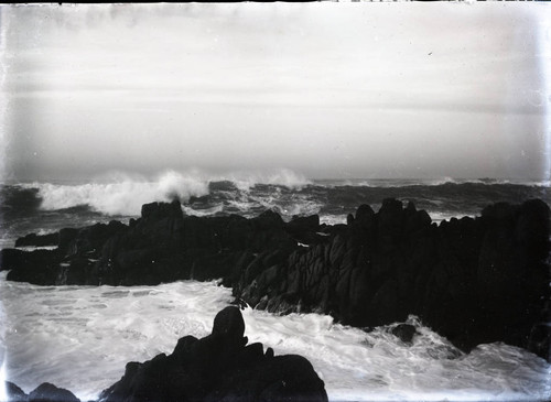 Pacific Grove coastline