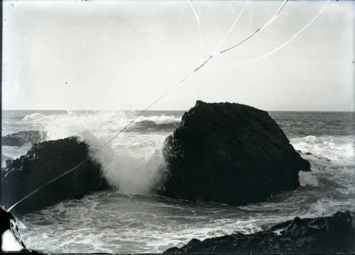 Pacific Grove coastline