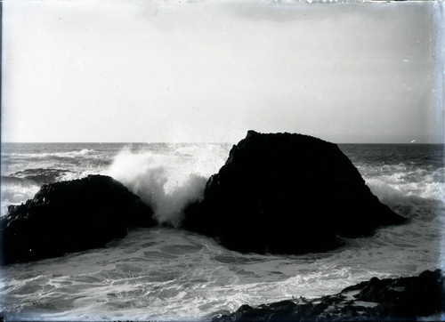 Pacific Grove coastline