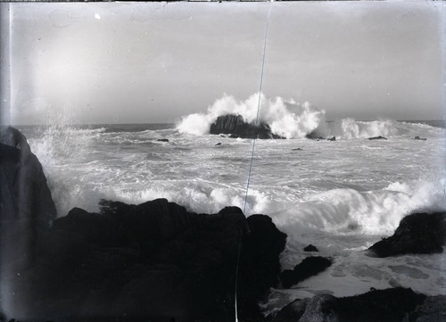 Pacific Grove coastline