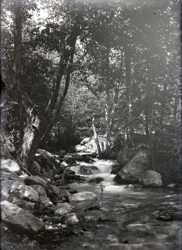 Mountain stream