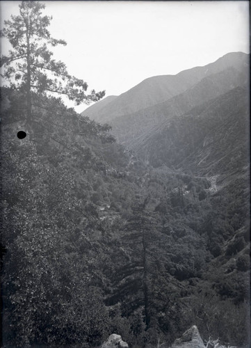 Canyon view from Mount Baldy